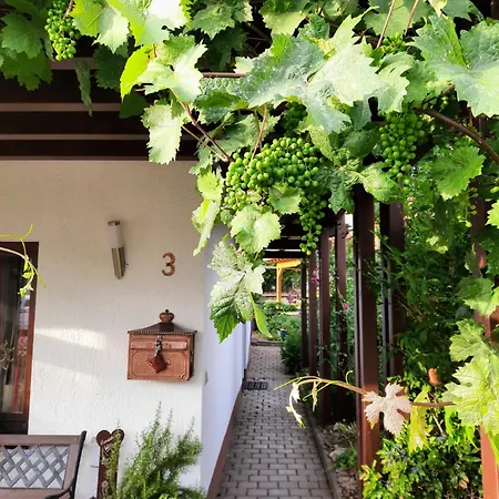 Weingarten Grolsheim