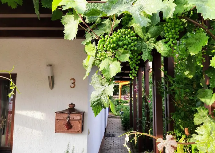 Weingarten Grolsheim